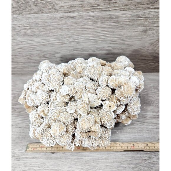 Desert Rose Selenite Natural Raw Gemstone Mineral Crystal Sand Rose Stone 6.5lbs - Picture 13 of 15